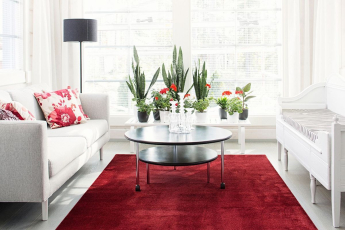 VM Carpet Satine 101 Wine Red фото 2 | FLOORDEALER