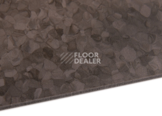 Tarkett iq Melodia 2617 фото 5 | FLOORDEALER