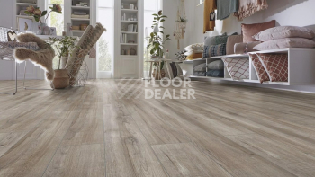 Kronotex Aqua Amazone 10мм D3662 Дуб Монтмело серебряный фото 4 | FLOORDEALER