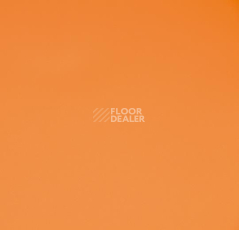 Линолеум Forbo Sportline Classic Fr 00570 фото 1 | FLOORDEALER