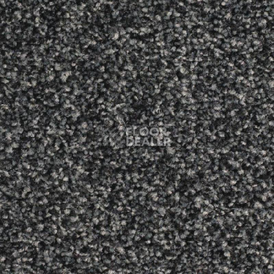 Ковролин Balsan Script 995 фото 1 | FLOORDEALER