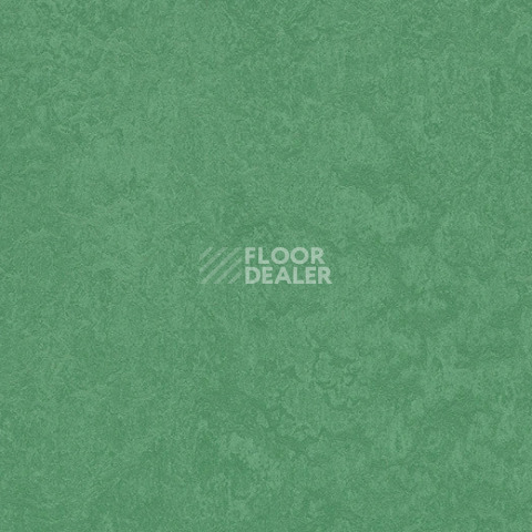 Линолеум Forbo Marmoleum Sport 83288 dark green фото 1 | FLOORDEALER