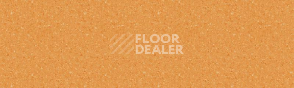 Линолеум Tarkett Tempo Plus 1011 фото 1 | FLOORDEALER