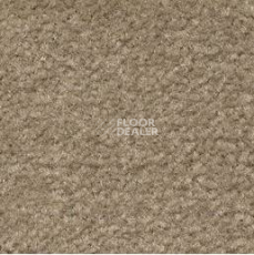 Ковролин Emphatic Beaulieu of America 56742 фото 1 | FLOORDEALER