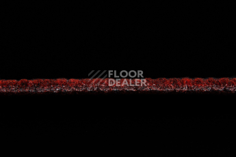 AW Color Rib / Колор Риб Fiesta 19 фото 6 | FLOORDEALER