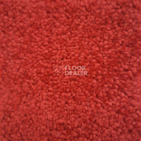 Ковролин Condor Carpets Dynasty 22 фото 1 | FLOORDEALER