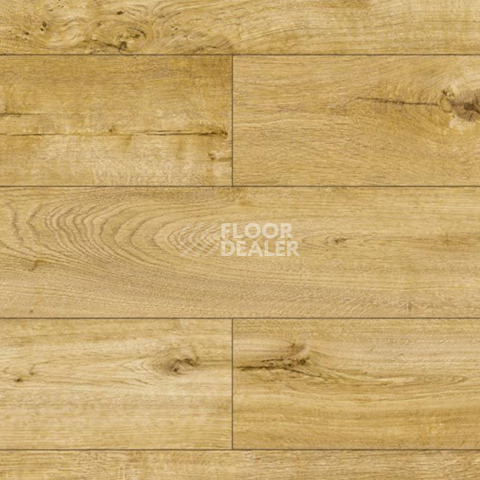 Ламинат Kronopol Platinium Terra AQUA BLOCK 8mm Kronopol Platinium Terra Aqua Block 24h Дуб Барселона D4607 фото 1 | FLOORDEALER