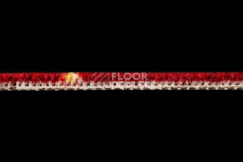Haima Lily Red фото 4 | FLOORDEALER