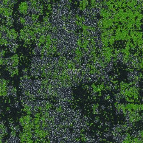 Ковровая плитка InnovFlor Nature 03 фото 1 | FLOORDEALER