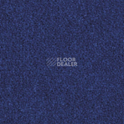 Ковролин Balsan Majestic 175 фото 1 | FLOORDEALER