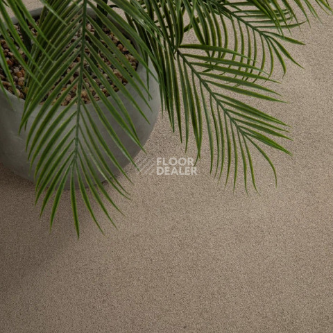 Condor Stockholm 492 фото 10 | FLOORDEALER