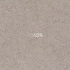 Линолеум Gerflor Marmorette DLW  2mm 0091 Shiitake Mushroom фото 1 | FLOORDEALER