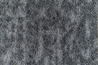 Forbo Flotex Colour Canyon p 945022 Canyon Limestone фото 4 | FLOORDEALER