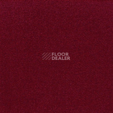 Ковролин Sintelon Eden 79430 фото 1 | FLOORDEALER