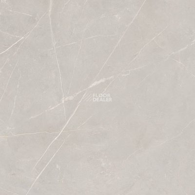 Керамогранит Nolana ( Нолана ) 60 x 60 x10 NL02 фото 6 | FLOORDEALER