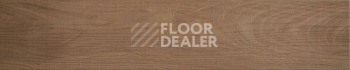 Evofloor Parquet Glue 2.5мм Rodsher (Родшер) фото 9 | FLOORDEALER