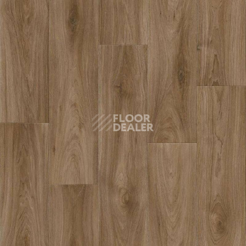 Линолеум Tarkett Комфорт Harvey 3 фото 1 | FLOORDEALER