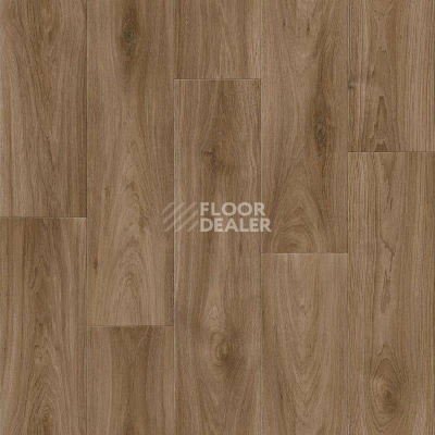 Линолеум Tarkett Комфорт Harvey 3 фото 1 | FLOORDEALER