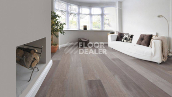 Kronotex Mammut Plus d4738 Дуб Северный фото 10 | FLOORDEALER