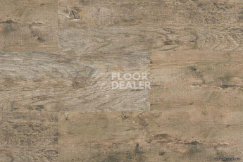 Wood OAK ANTIQUE фото 4 | FLOORDEALER