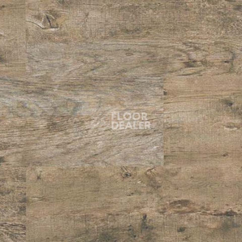Wood OAK ANTIQUE фото 4 | FLOORDEALER