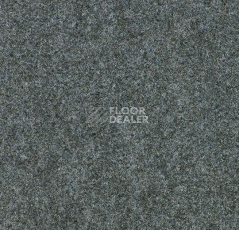 Ковролин Forbo Forte 96001 Silver фото 1 | FLOORDEALER