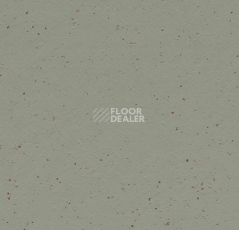 Линолеум Forbo Marmoleum Solid Cocoa 3588 eucalyptus фото 1 | FLOORDEALER