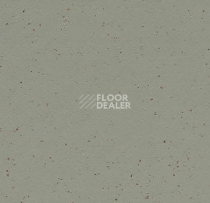 Линолеум Forbo Marmoleum Solid Cocoa 3588 eucalyptus фото 1 | FLOORDEALER