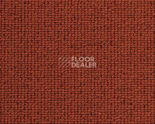 Ковролин Best Wool Hospitality 1 h 1450 - g 40000 фото 1 | FLOORDEALER