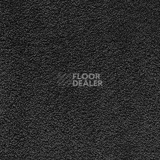 Ковролин AW Softissimo 97 фото 1 | FLOORDEALER
