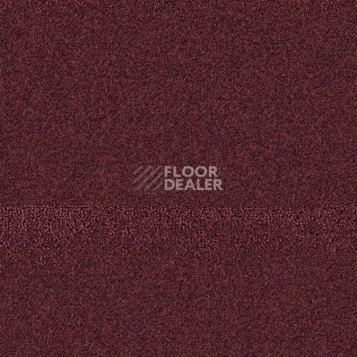 Ковролин Balsan Tanzanie 881 фото 1 | FLOORDEALER