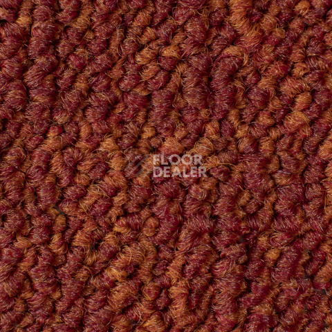 Desso Grain 4211 фото 2 | FLOORDEALER