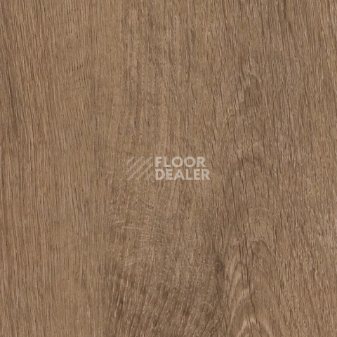 Кварцвиниловые полы AW Invictus Primus Plank Royal Oak Mocca фото 1 | FLOORDEALER