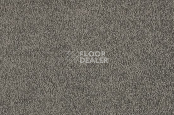 Ковролин Vorwerk Viola 7d87 фото 1 | FLOORDEALER