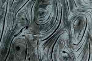 Ковролин M2 Carpets Reality Rea 01 c фото  | FLOORDEALER
