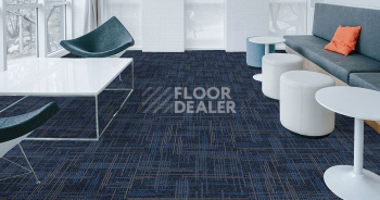 Standard Carpets Casini Casini 558 фото 2 | FLOORDEALER