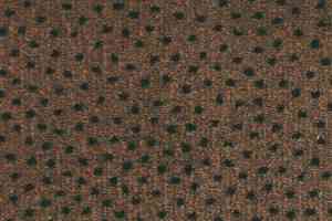 Ковролин Associated Weavers Perfecto 44 фото  | FLOORDEALER