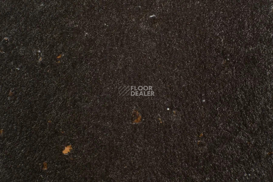 Forbo Marmoleum Solid Cocoa 3581-358135 dark chocolate фото 2 | FLOORDEALER