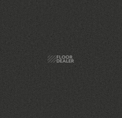Ковролин Forbo Showtime Nuance 900202 фото 1 | FLOORDEALER