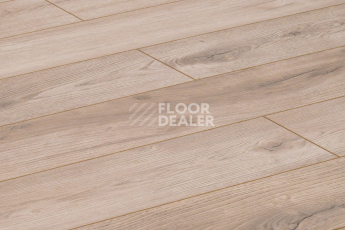 Alix Floor Regista 8мм D4763 Дуб Мелоди фото 2 | FLOORDEALER