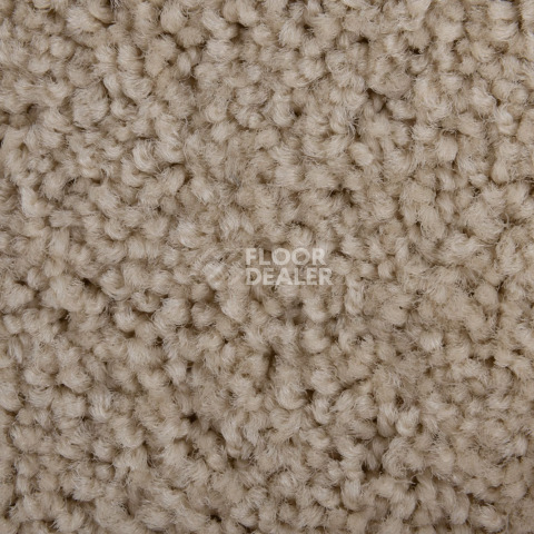Haima Noble 69 фото 3 | FLOORDEALER