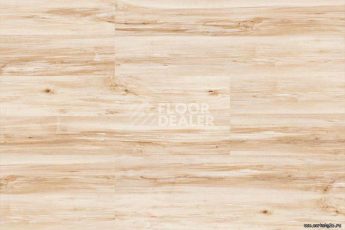 Wood MAPLE фото 4 | FLOORDEALER