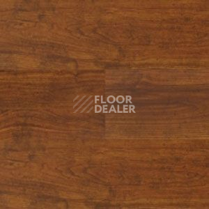 Линолеум Polyflor Expona Wood 6114 фото 1 | FLOORDEALER