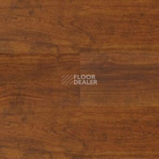 Линолеум Polyflor Expona Wood 6114 фото 1 | FLOORDEALER