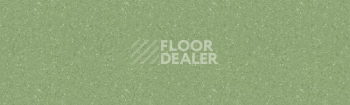 Линолеум Tarkett Tempo Plus 1009 фото 1 | FLOORDEALER