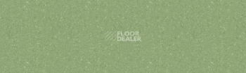 Линолеум Tarkett Tempo Plus 1009 фото 1 | FLOORDEALER