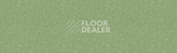 Линолеум Tarkett Tempo Plus 1009 фото 1 | FLOORDEALER