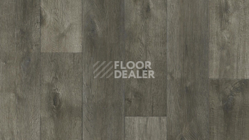 Линолеум Tarkett Idylle Nova Event 3 фото 1 | FLOORDEALER