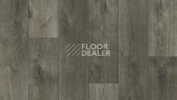 Линолеум Tarkett Idylle Nova Event 3 фото 1 | FLOORDEALER