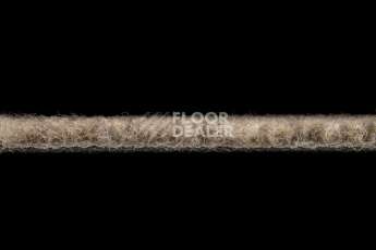 Balsan Season - Summer / Winter 650 фото 3 | FLOORDEALER